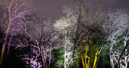 Aicinām iepazīt LU Botānisko dārzu citādā gaismā –  caur dažādiem gaismas un audiovizuālajiem objektiem, dodoties ziemas pastaigā “Gaisma Tumsā”!