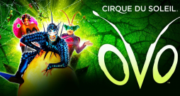 Visā pasaulē iemīļotais cirks Cirque du Soleil savu krāšņāko izrādi OVO demonstrēs Rīgā! Labākā dāvana ir brīnums!
