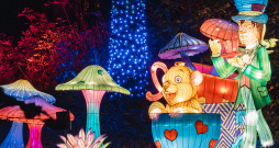 Garden of Lights multimediālā gaismas izstāde Alise Brīnumzemē