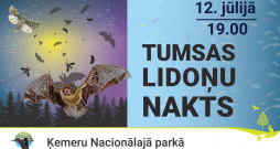 Iepazīsti sikspārņus un nakts kukaiņus Ķemeru Nacionālajā parkā!