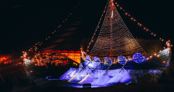 Lielākā klases eglīte Brīnumu mežā!!!