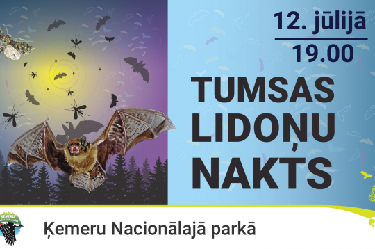 Iepazīsti sikspārņus un nakts kukaiņus Ķemeru Nacionālajā parkā!