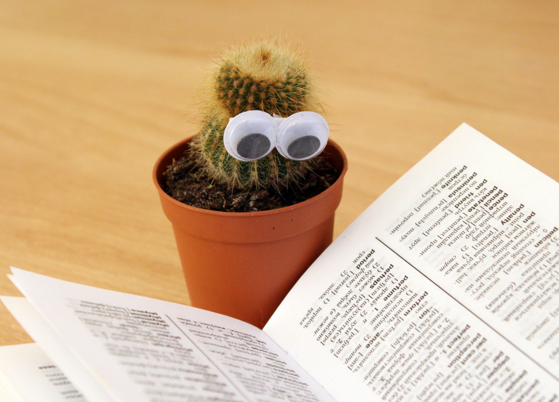 book-cactus-knowledge-159840.jpg