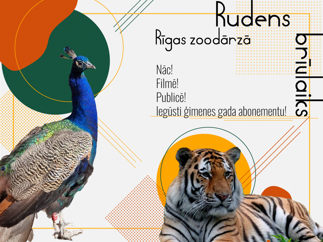 Rudens brīvdienas Rīgas zoodārzā!