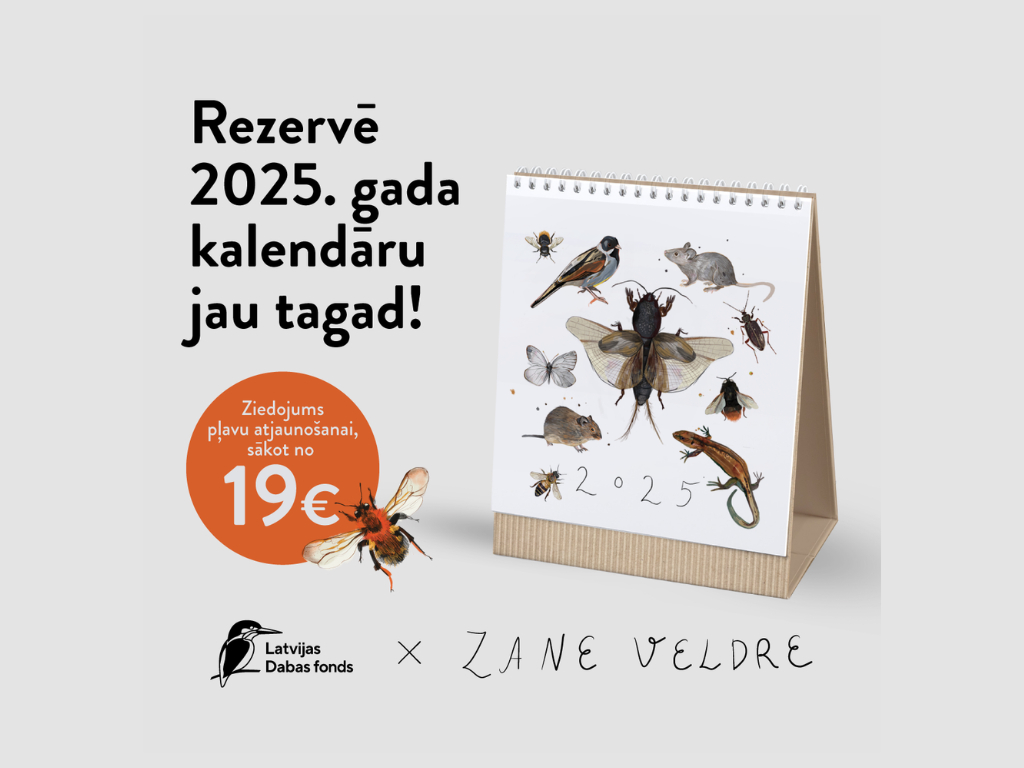 Atbalsti dabiskās pļavas ar kalendāru “Dzīvība pļavā”