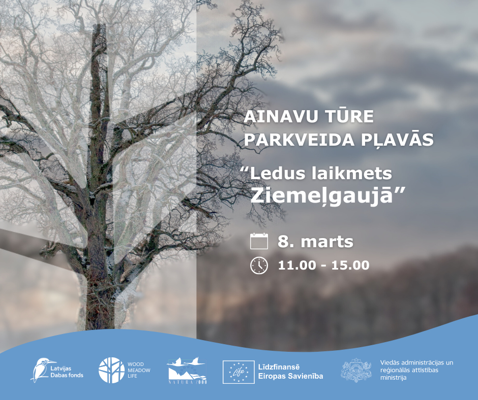 Latvijas Dabas fonds aicina uz parkveida pļavām veltītu ainavu tūri