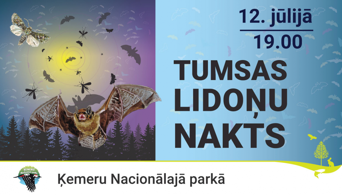 Iepazīsti sikspārņus un nakts kukaiņus Ķemeru Nacionālajā parkā!